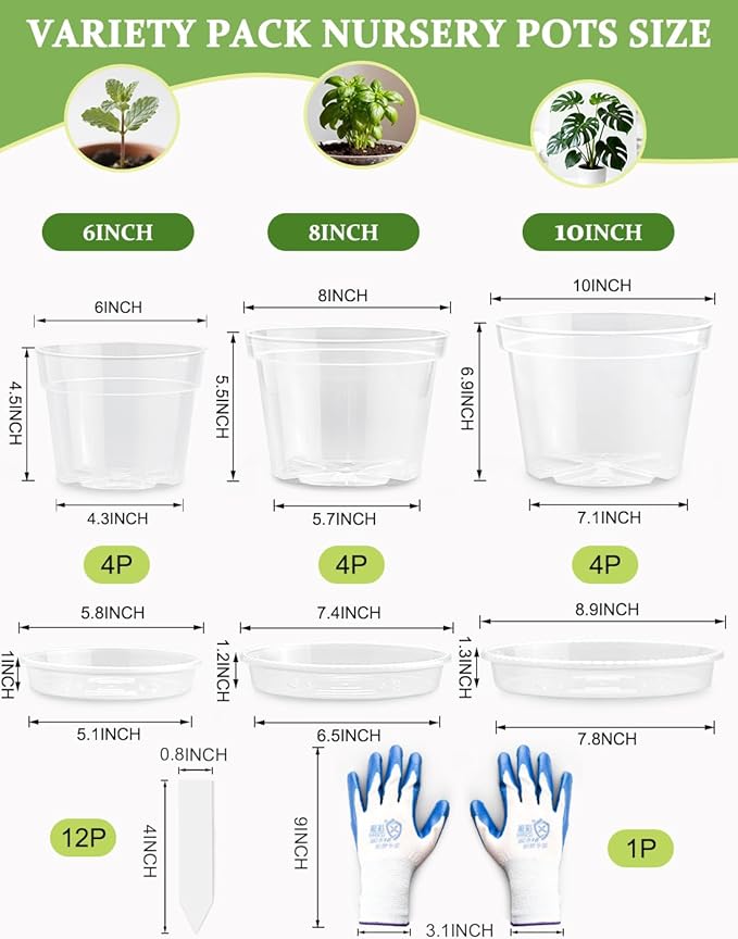 12 Pack 10/8/6 Inch Clear Nursery Pots - Image 2