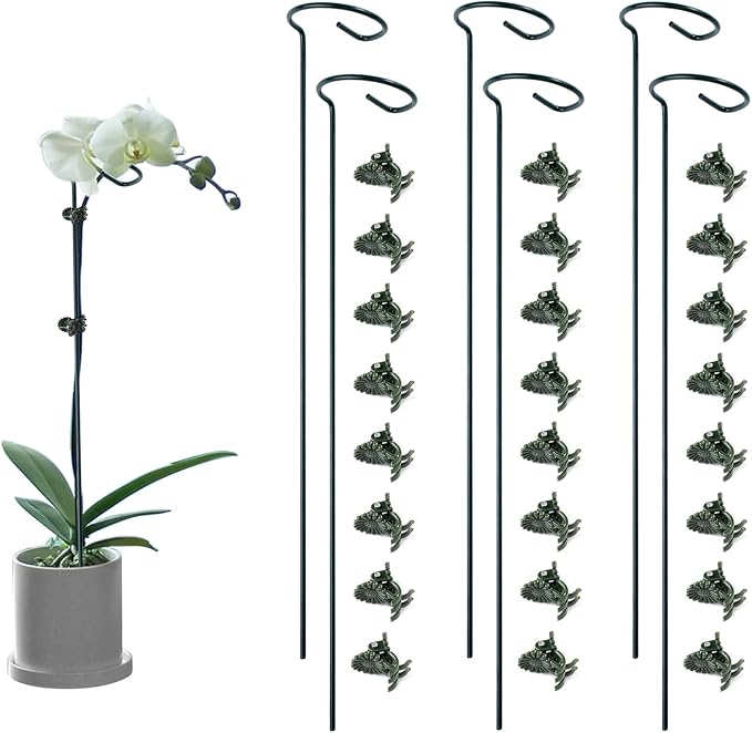 6 Pack Plant Support Stakes by Auaok