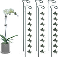 6 Pack Plant Support Stakes by Auaok
