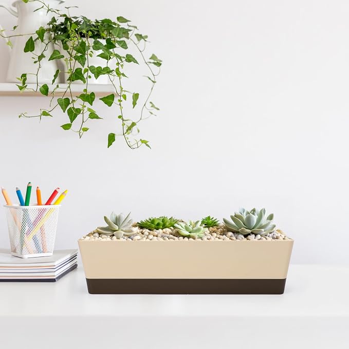 GREANER Indoor Windowsill Planter Boxes, 6 Pack 16 x3.8 Inch Rectangle - Image 7