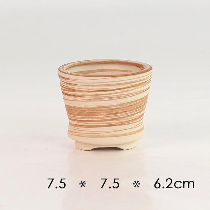 Sun-E 6 in Set 7.6 cm Ceramic Wooden Pattern Succulent Plant Pot Cactus Plant - Image 3
