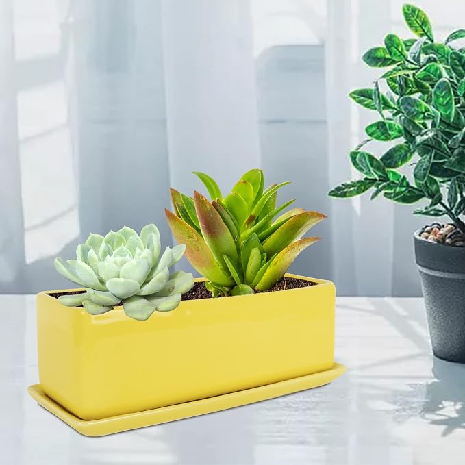 Vencer 12 Inch Rectangular Modern Minimalist Ceramic Succulent Planter Pot - Image 6