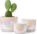 EFISPSS Plant Pots, 4+5+6 Inch Pots by EFISPSS