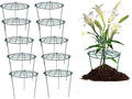 MTB Supply 10 Pack 16 x 24 inch Peony Cages, Grow Through Plant Support Stakes by MTBSUPPLY