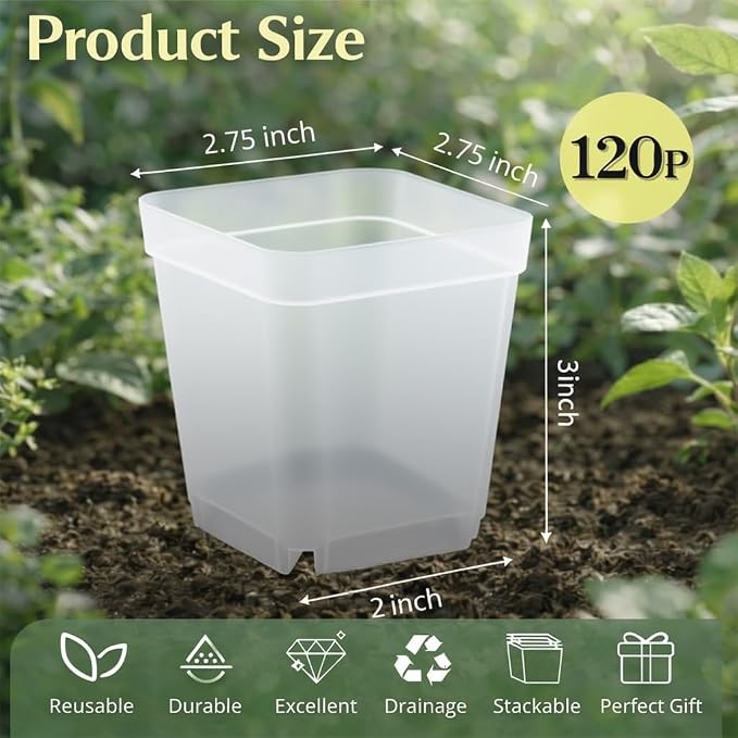 120 Packs Square Clear Nursery Pots - Image 3