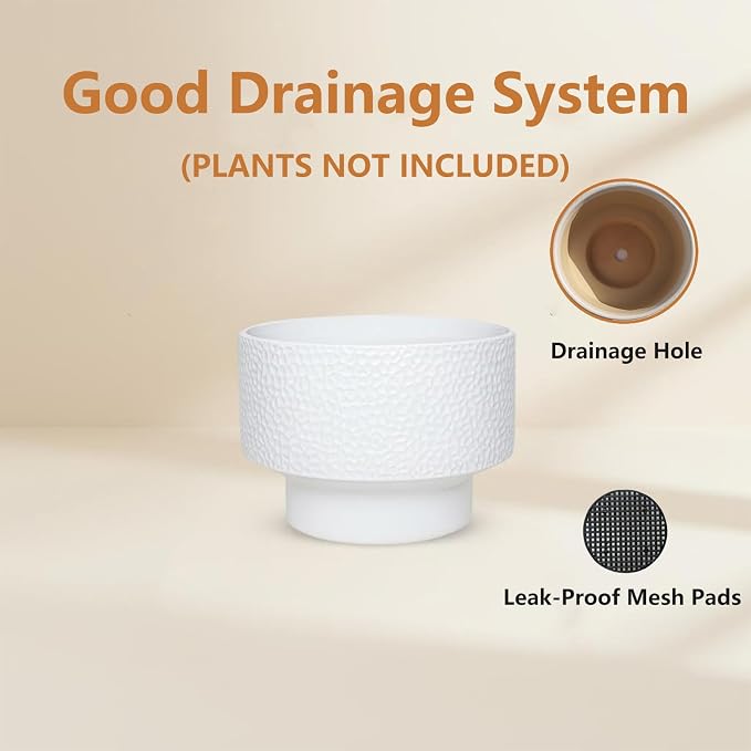 11 Inch Ceramic Plant Pots, Planter Pot - Image 5