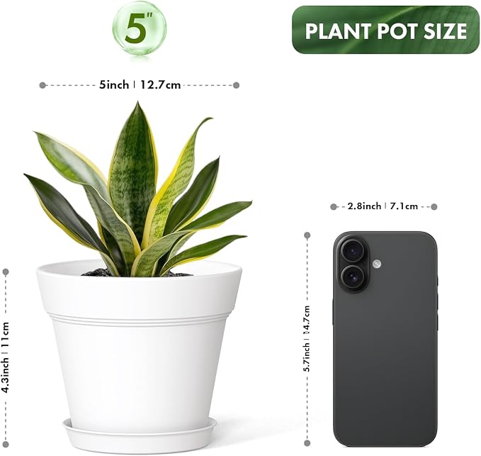 5 Inch Plastic Plant Pots with Drainage Holes and Trays – 6 Pack Small Nursery - Image 3