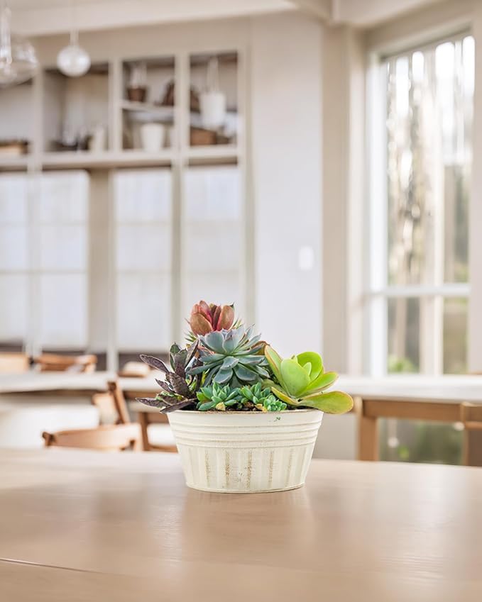 vensovo 10 Inches Beige Metal Rustic Plant Pots - Image 6