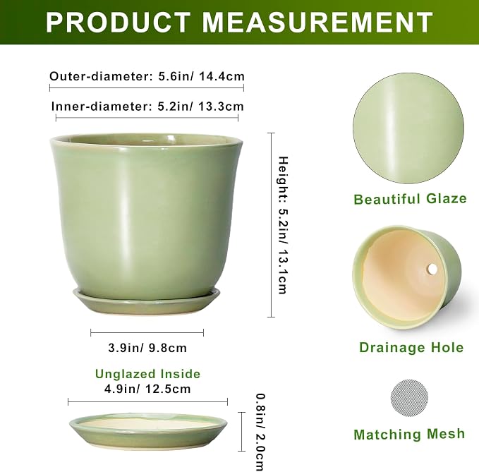 5.6 Inch Plant Pot - Image 2