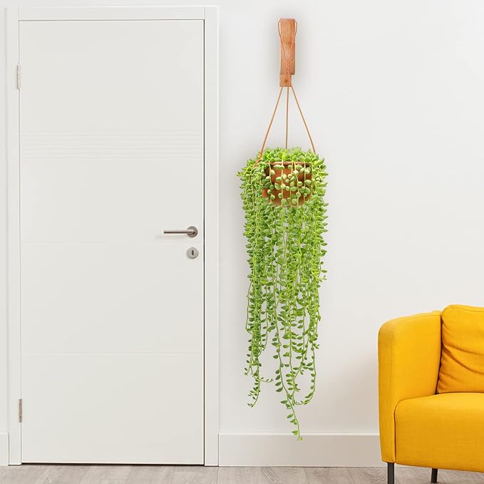 7-Inch Hanging Plant Brackets, Arc-Shaped Wooden Plant Hanger Indoor, Wall - Image 8