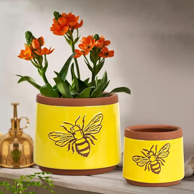 YBX Terracotta Pots Inch with Drainage Holes, Bee Decor, Ceramic Pots - Image 5