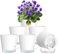 6 inch Self Watering Pots for Indoor Outdoor Plants, 6 Pack Flower Plant Pots by Meowell