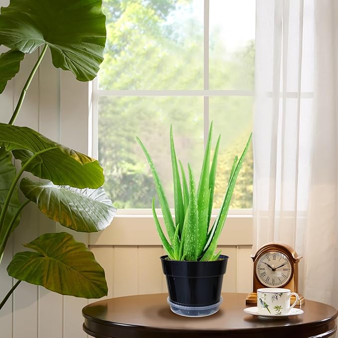 12 Pack Plant Pots, 8 Inch Plant Planter - Image 6