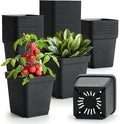 BTPLASTIK Square Nursery Pots 5.5 Inch, Garden Flower Planters by BTPLASTIK