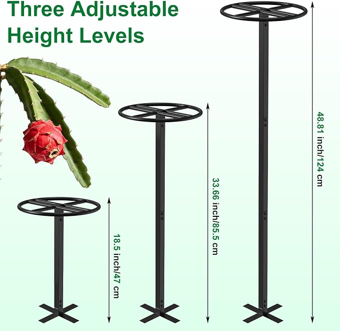 Adjustable Dragon Fruit Trellis, Heavy Duty Metal Plant Support Frame - Image 4