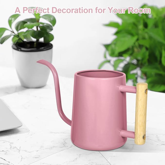 Watering Can Indoor Plants, 35 oz/1000 ml Metal Stainless Steel Watering Can Pot - Image 8