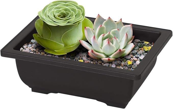 MANCHAP 20 PCS 8.9 Inch Plastic Bonsai Training Pots, Rectangular Bonsai Tree - Image 6