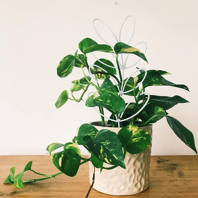 2Pack Indoor Plant Trellis Metal Wire Garden Trellis ，Small Climbing Leaf Shape - Image 2