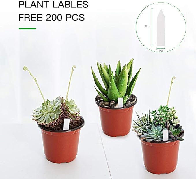 JERIA 200-Pack 4 Inch Plastic Nursery Pots Come - Image 3