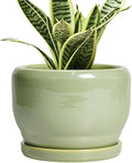 SQOWL Ceramic Pot for Plants by SQOWL