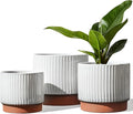 LE TAUCI Ceramic Pots for Plants, 8+6.7+5.5 Inch Plant Pots Indoor, Flower Pot by LETAUCI