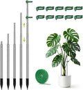 Aieve Extendable Plant Stakes, 13in to 49in Stainless Steel Telescoping by Aieve