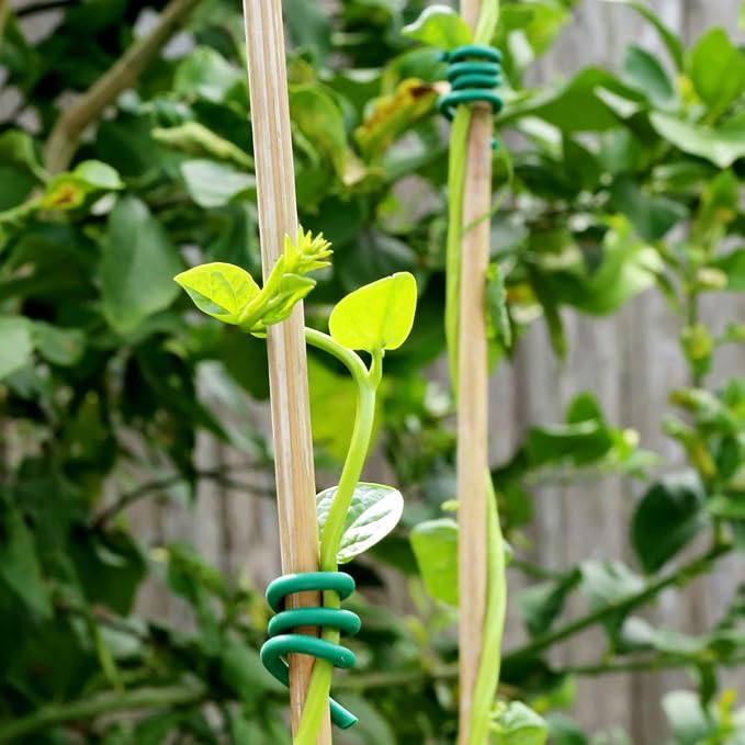 Decoroca Garden Flexible Tie, Soft Twist Plant Ties 32.8' - Image 5