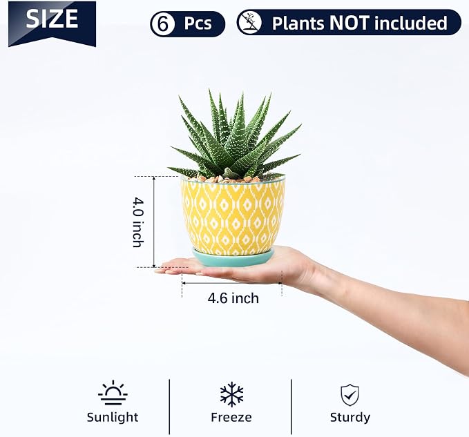 Selamica Ceramic Succulent Pots, 4.6 Inch Small Plant Pots - Image 2
