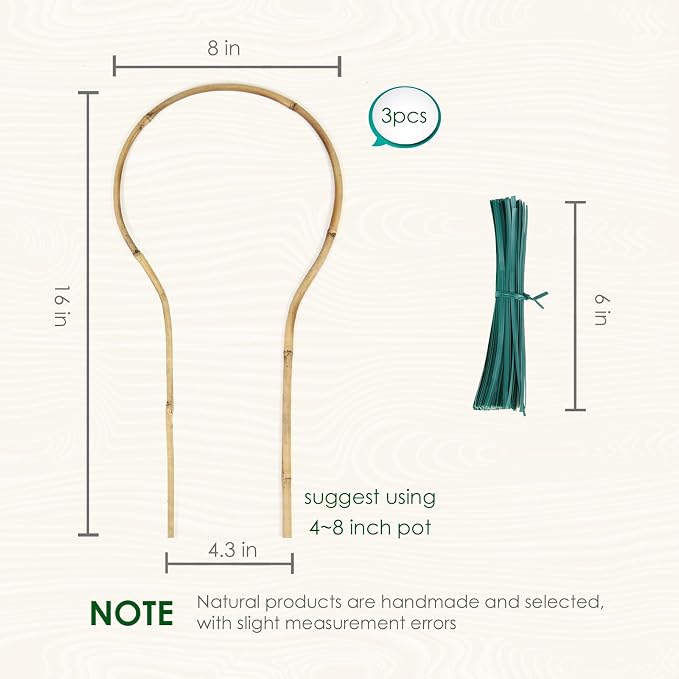 Plant Trellis Indoor 16in, Loop-Shaped Bamboo Trellis - Image 2