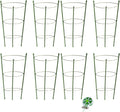 8 Pack Tomato Cage for Garden Plant Support, 18 inches Small Tomato Cages by HOYEJYOU