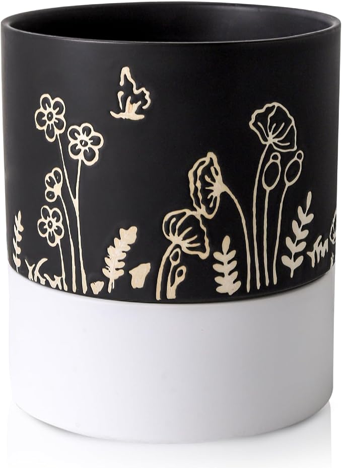 Nihow Self Watering Plant Pot: 6 Inch Ceramic Planter by Nihow