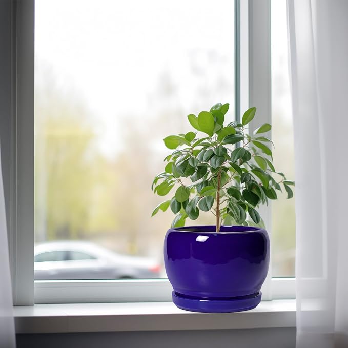 SQOWL 8 Inch Plant Pot - Image 4