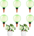 6pcs Large Plant Self Watering Globes, 17.5 oz Plastic Water Bulbs Top Fill by GEWOSI