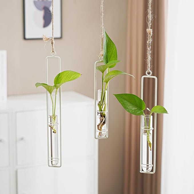 3 Pieces Hanging Plant Glass Test Tubes Hydroponic Vase Planters Wall-Mounted by AQRICHFOX