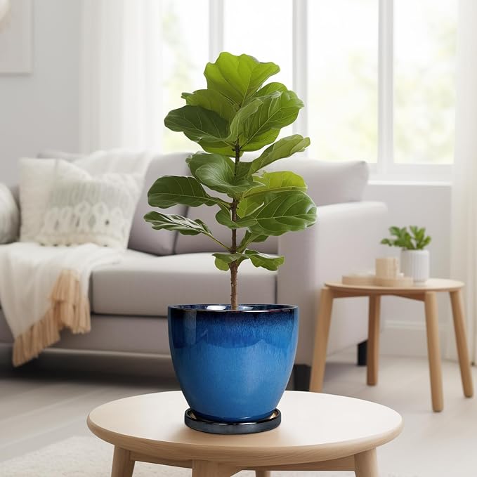 8 Inch Planter - Ceramic Plant Pot - Image 4