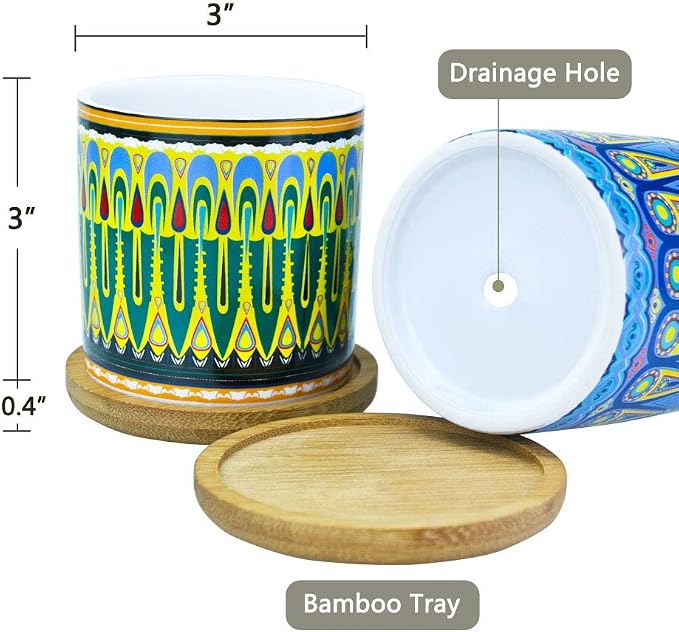 Mandala Succulent Pot with Drainage Hole & Bamboo Coaster, Small Plant Pots - Image 2