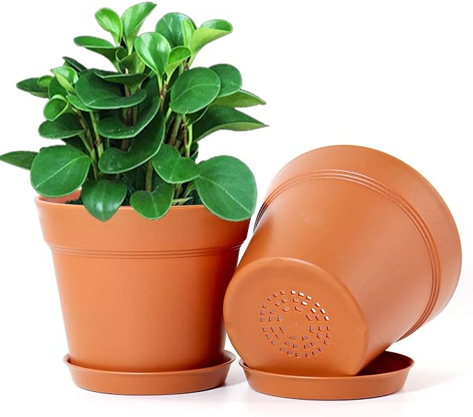 WOUSIWER 16 Pack 6 inch Plastic Planters, Plastic Indoor Planter Flower Pots - Image 4
