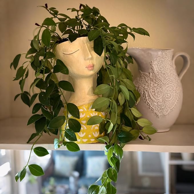 DiliComing Face Planter-Pots for Indoor Plants - Image 5