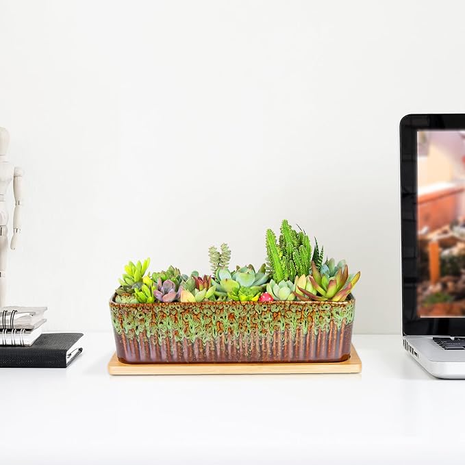 Succulent Pots - 12 Inch Large Succulent Planters - Image 5