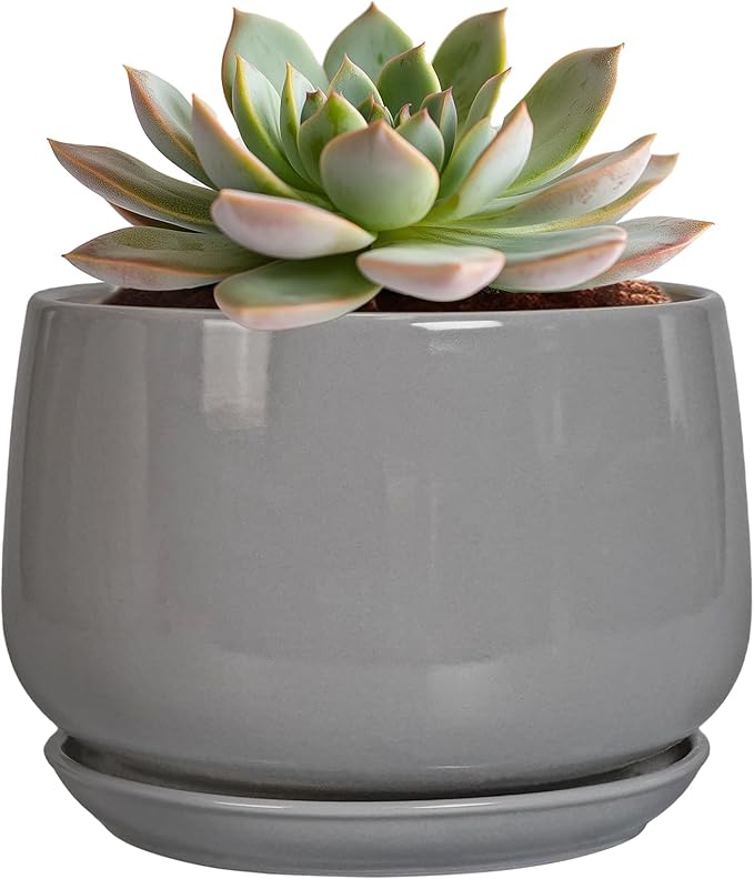 G EPGardening Ceramic Pot for Plants by GEPGardening