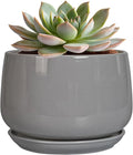 G EPGardening Ceramic Pot for Plants by GEPGardening