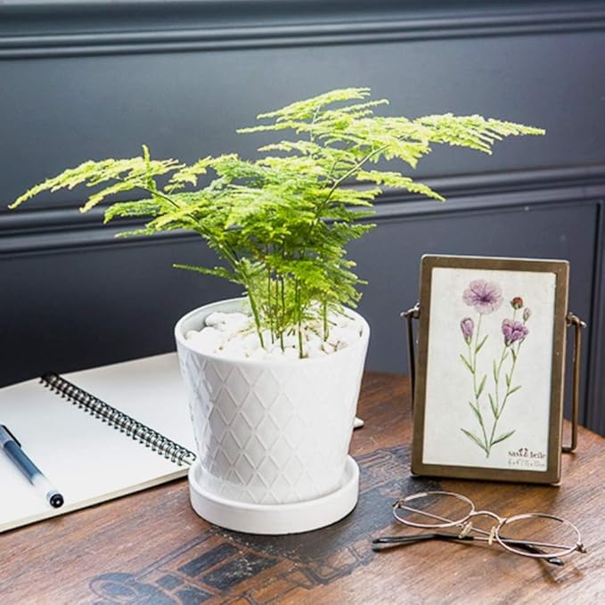 BUYMAX Plant Pots Indoor –5 inch Ceramic Flower Pot - Image 4