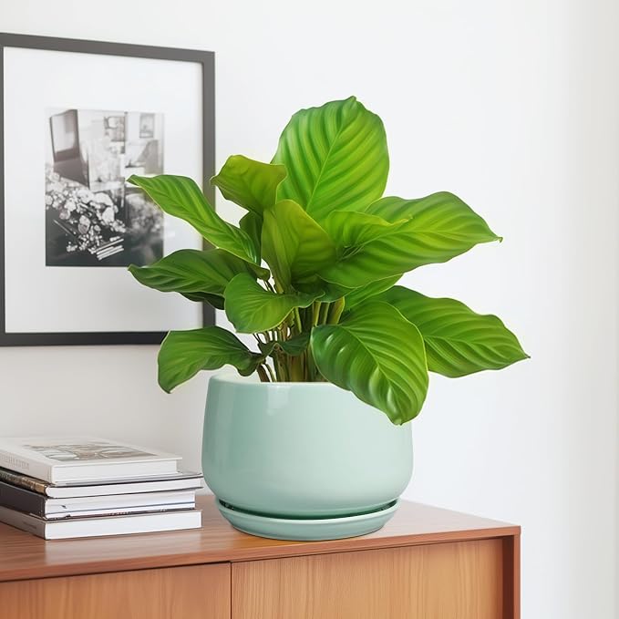 G EPGardening Ceramic Plant Pots - Image 5