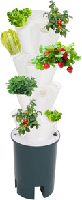 Hydroponic Growing System Indoor, 20-Hole Vertical Garden Planter Germination by TREMENPOW