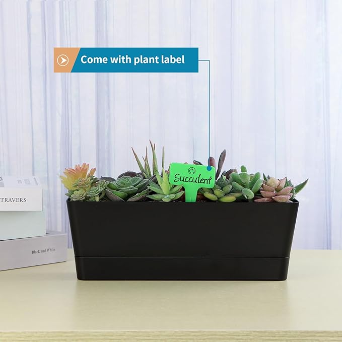 Window Box Planter with Tray - Image 4