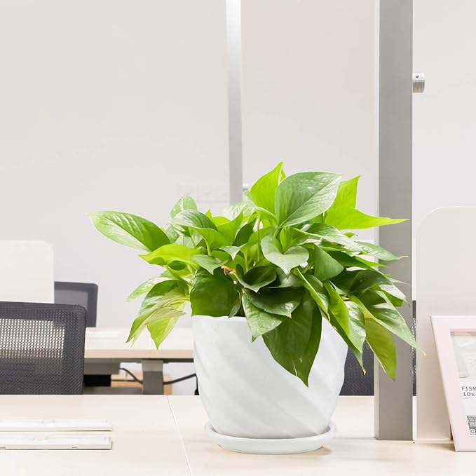Plant Pots - 4.7 Inch Cylinder Ceramic Planters - Image 7