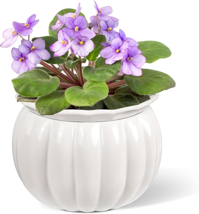 BUYMAX African Violet Pots, 6 inch Pumpkin-Style Ceramic Easy Self Watering by BUYMAX
