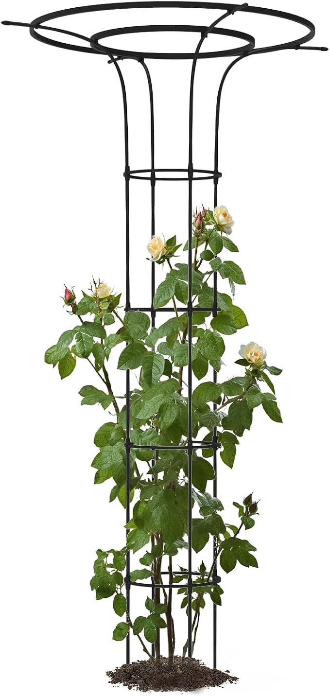 Trellis for Climbing Plants Outdoor by TrellumeGardenHome