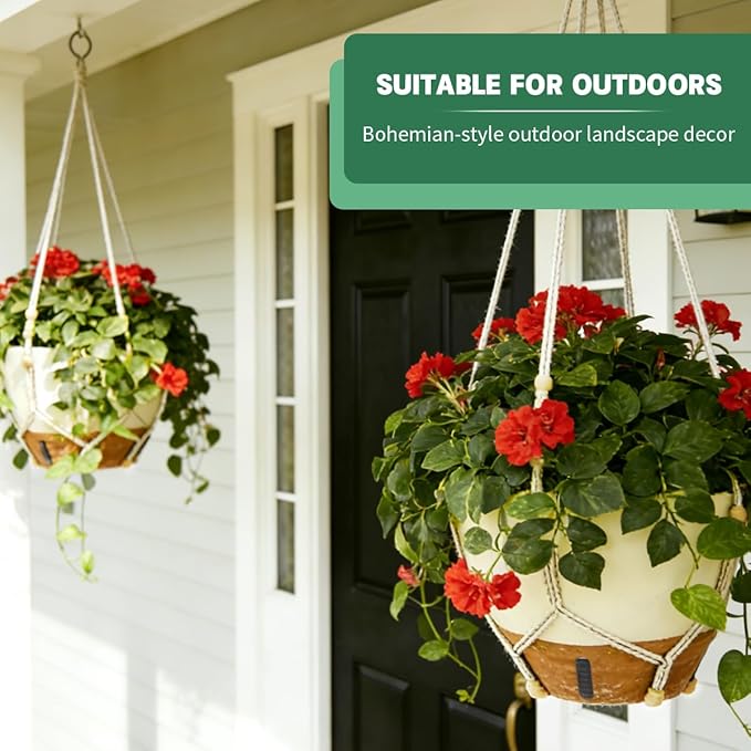 Self-Watering Hanging Planters for Indoor Plants Set 2-Piece Includes Plant - Image 5