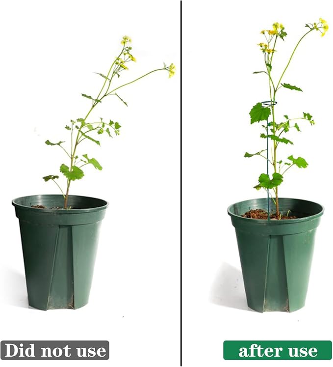 4 Pack Plant Stakes, Plant Support Stakes - Image 4